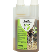 Dog Flex