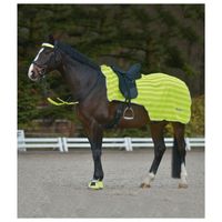 Waldhausen Reflecterende uitrijdeken