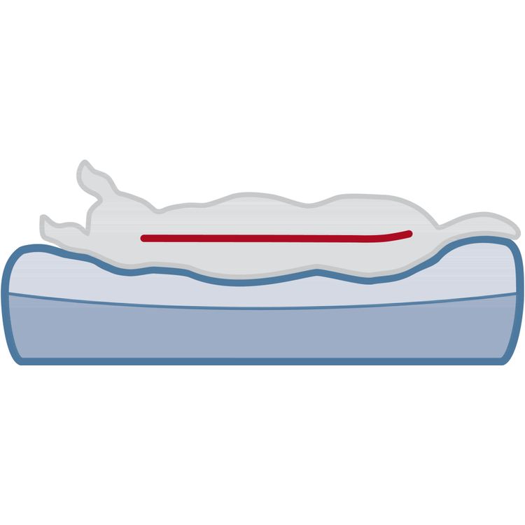 Trixie Vital matras Bendson Foto van Trixie Vital matras Bendson