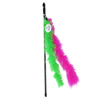 Foto van Cat glitter teaser