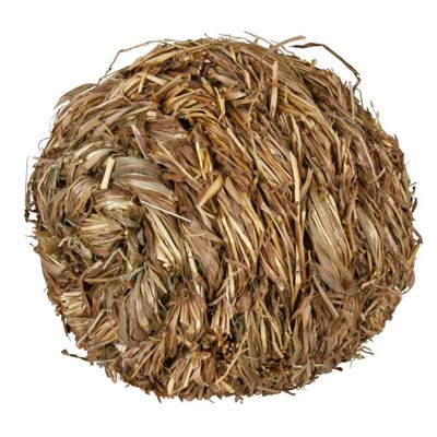 Foto van Trixie Bal met belletje gras - 3 stuks