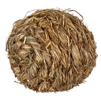 Trixie Bal met belletje gras - 3 stuks