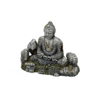 Europet Bernina Decor buddha l Foto van Europet Bernina Decor buddha l