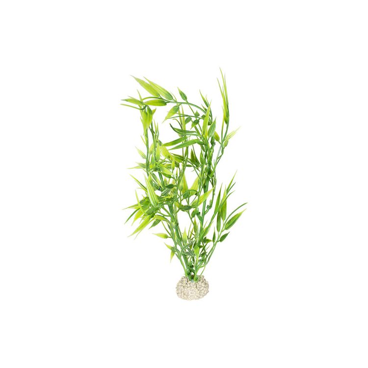 Foto van Aqua Della Decor plant bamboo