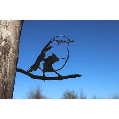 Foto van Vogel Cortenstaal - Roodborst - Zwart