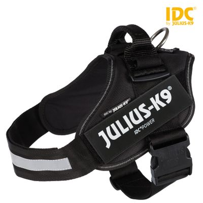 Julius IDC® Powertuig Foto van Julius IDC® Powertuig