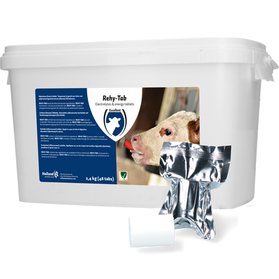 Foto van Rehy-Tab Plus (Bruistablet kalverdiarree) 48 tabl