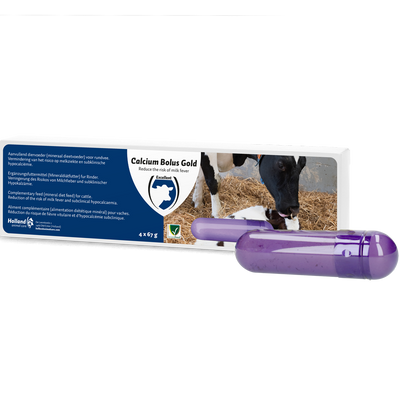 Foto van Calcium Bolus Gold