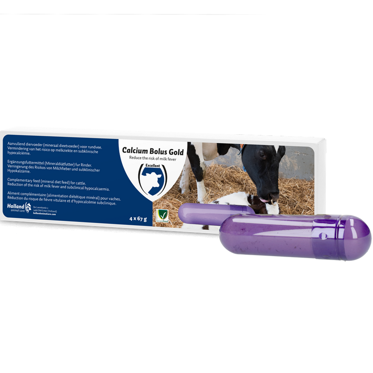 Foto van Calcium Bolus Gold