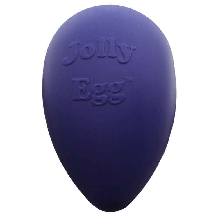 Foto van Jolly Egg 30 cm Paars