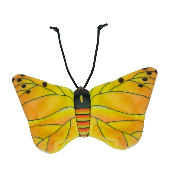 Foto van Wild Life Cat Yellow Butterfly (Gele Vlinder)