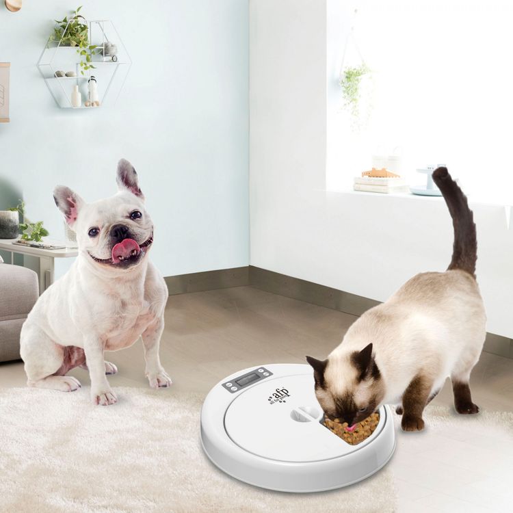 Foto van AFP Lifestyle 4 Pet-5 Meal Pet Feeder