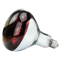 Lamp 150 W infrarood Hard Glas