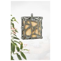 Singingfriend Feeder window Anna