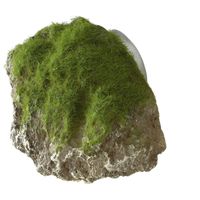 Aqua Della Decor Moss Stone met zuignap