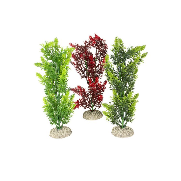 Foto van Aqua Della Decor plant Elodea densa