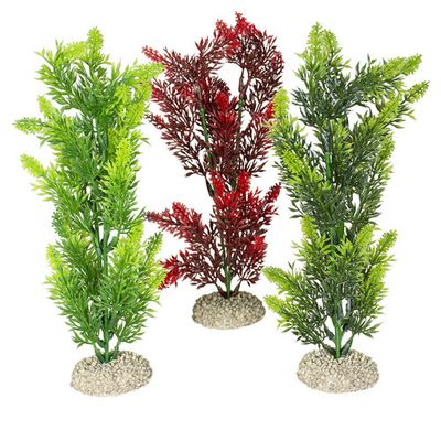 Aqua Della Decor plant Elodea densa Foto van Aqua Della Decor plant Elodea densa