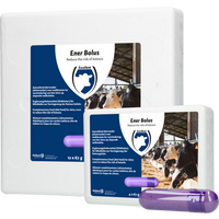 Ener Bolus
