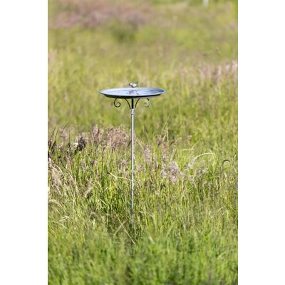 Foto van Trixie Vogeldrinkschaal/-bad voor grondfixatie metaal