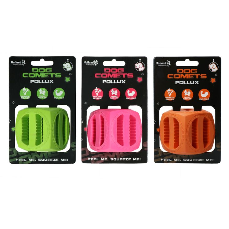 Foto van Dog Comets Pollux Groen