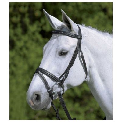 Foto van Star Hoofdstel Star