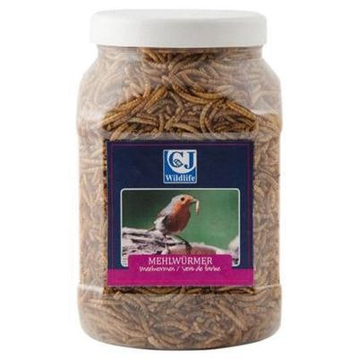 Foto van Wildbird Meelwormen in pot