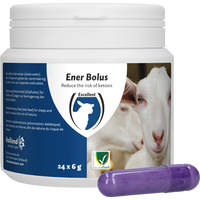 Ener Bolus Schaap en Geit