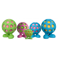 JW HOL-EE Cuz M 10 x 7 cm