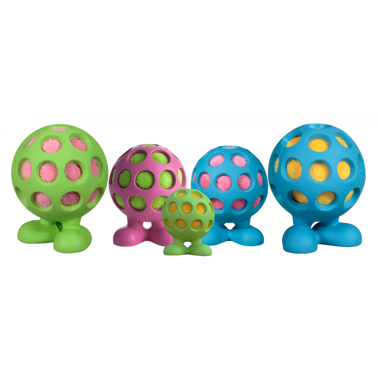 Foto van JW HOL-EE Cuz M 10 x 7 cm