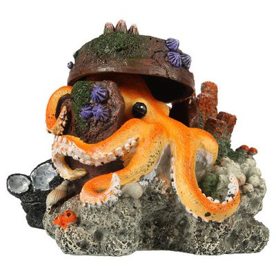 Foto van Aqua Della Verdwaalde Octopus