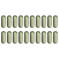 Protect Garden Sanium stick