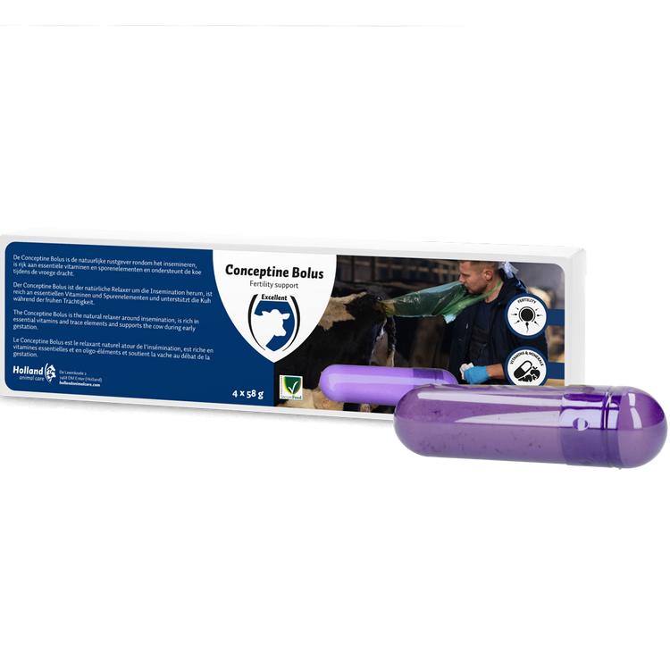 Foto van Conceptine Bolus