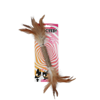 Addicted Stick with caterpillar and feathers