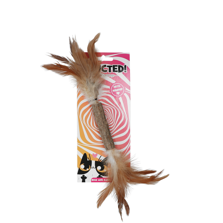 Foto van Addicted Stick with caterpillar and feathers