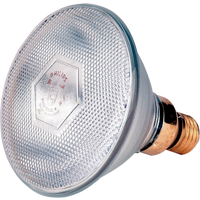 Lamp 100 W wit Philips spaar