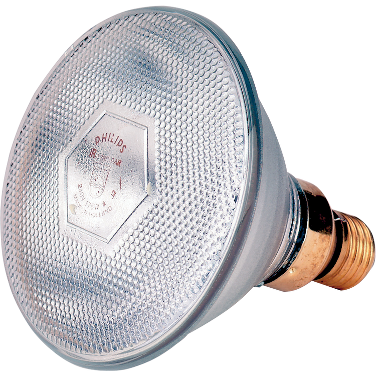 Foto van Lamp 100 W wit Philips spaar