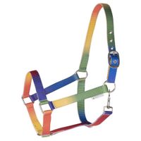 Waldhausen Halster regenboog