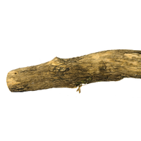 Birrdeeez Natural Sekelbos Perch 30cm