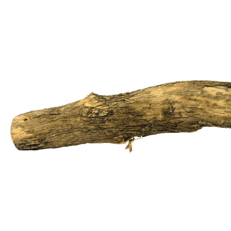 Foto van Birrdeeez Natural Sekelbos Perch 30cm