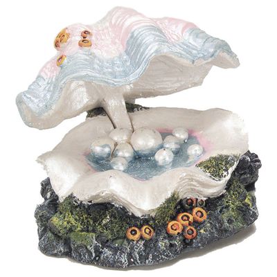 Aqua Della Decor mossel s Foto van Aqua Della Decor mossel s