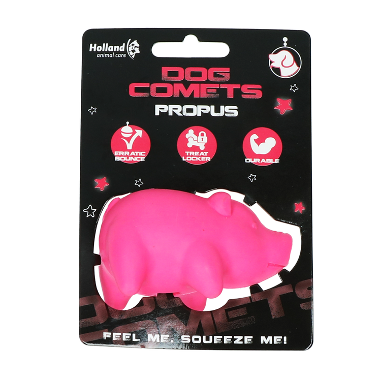 Foto van Dog Comets Propus Roze