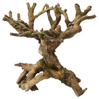 Aqua Della Decor bonsai