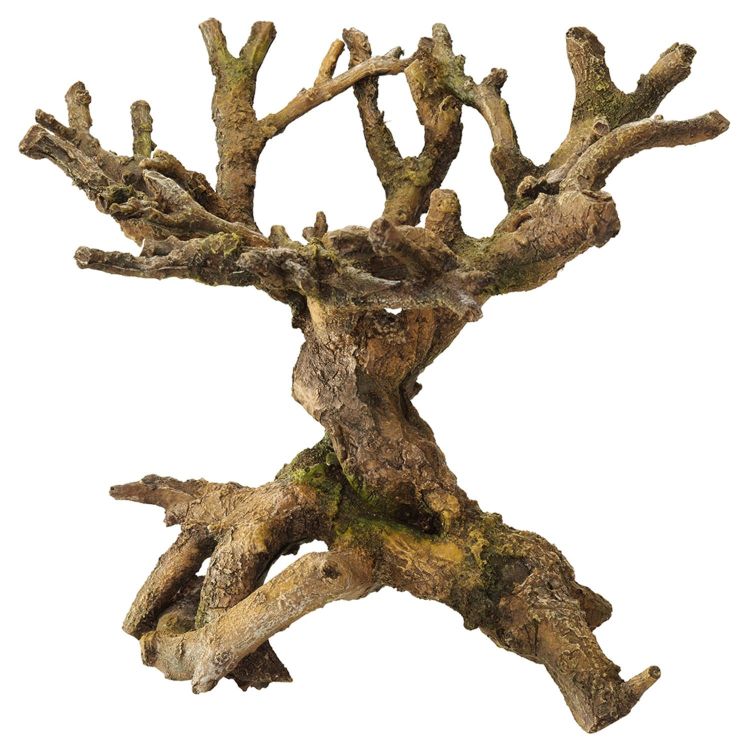 Foto van Aqua Della Decor bonsai