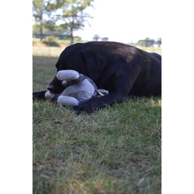 Foto van Elegant Rabbit Bruin