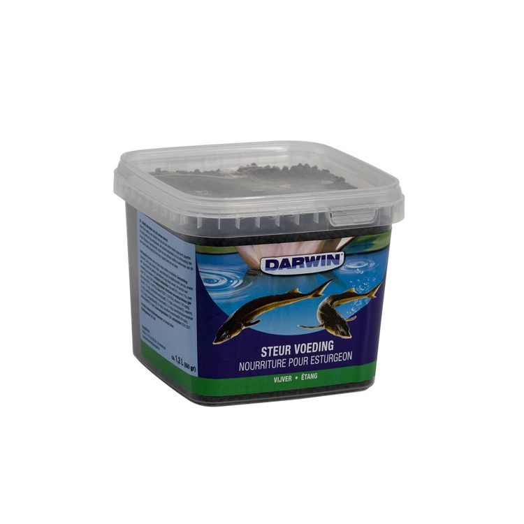 Foto van Darwin Steur vijvervoeding