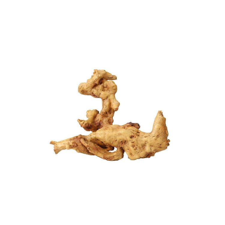 Foto van Aqua Della Decor Coffee Root