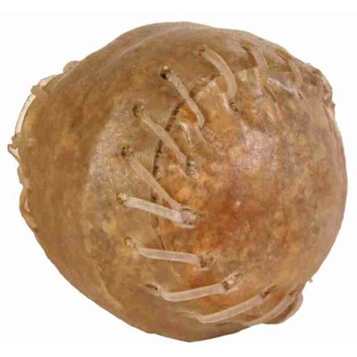 Foto van Trixie Kauwbal genaaid - 10 stuks