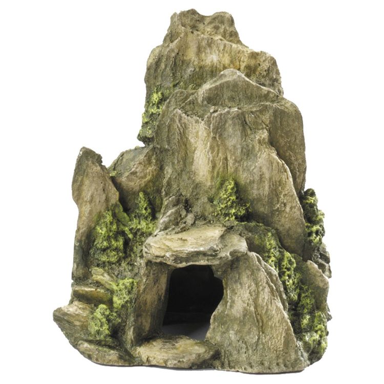 Foto van Aqua Della Decor moss