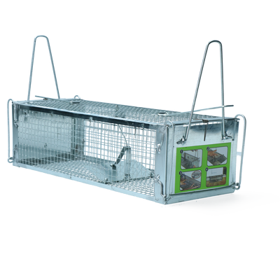 Foto van Pro Muizen- en Rattenvangkooi