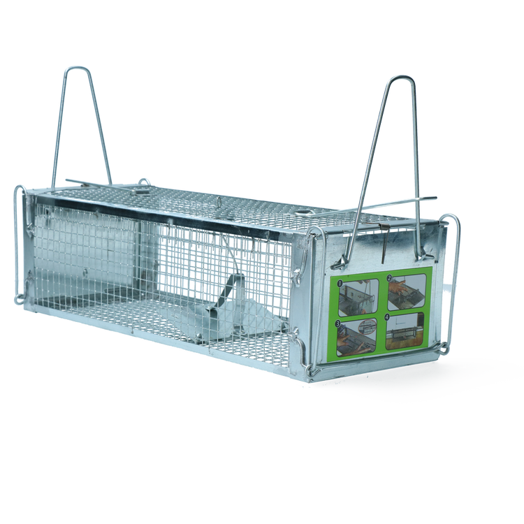 Foto van Pro Muizen- en Rattenvangkooi